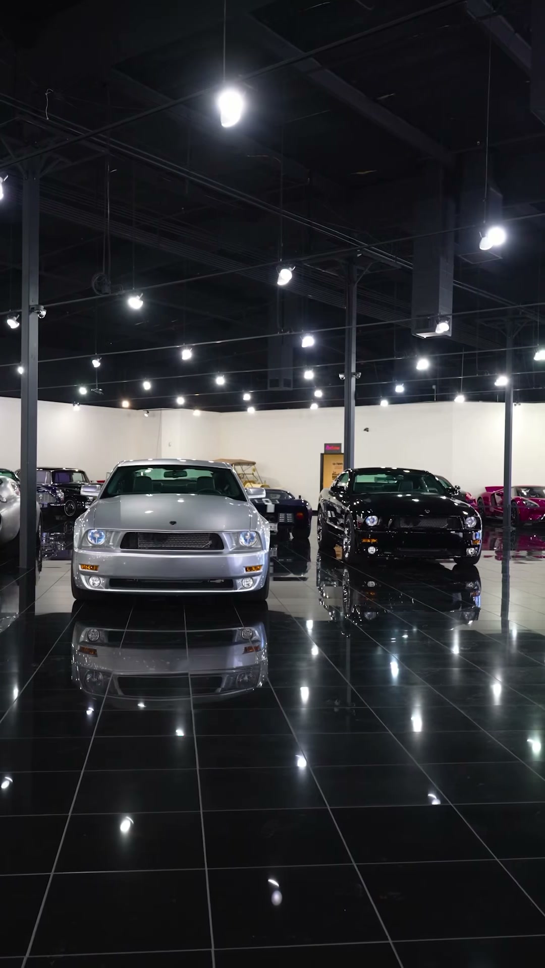 2009 Ford Mustang Iacocca Silver 45th Anniversary Edition #03, photo 4