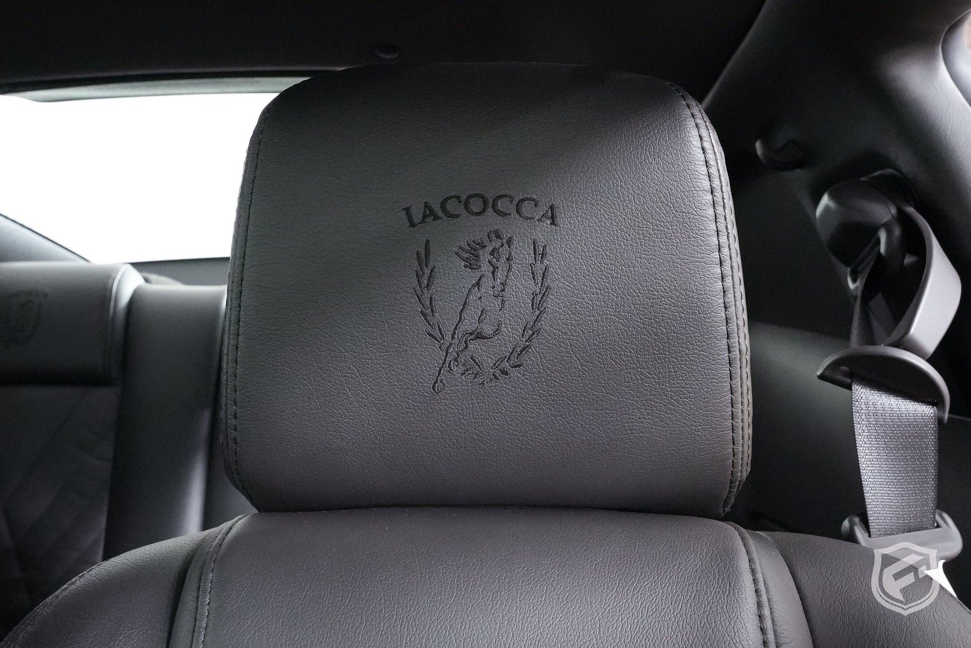 2009 Ford Mustang Iacocca Silver 45th Anniversary Edition #04, photo 12