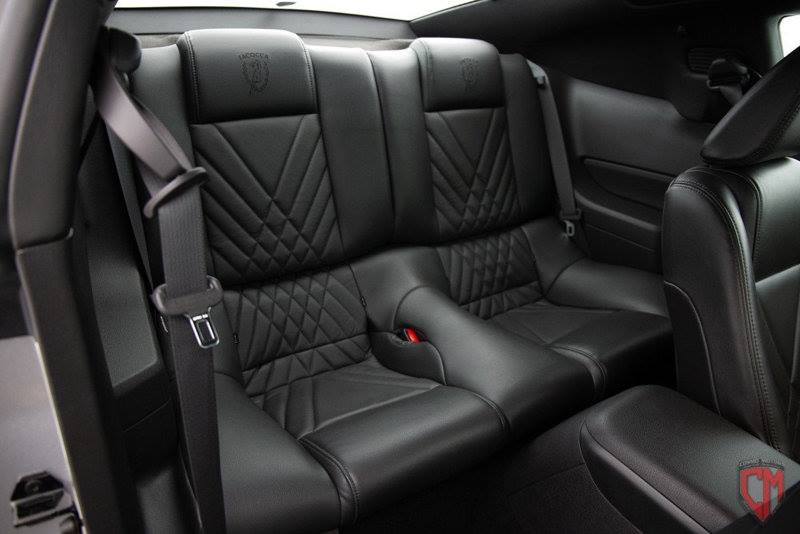 2009 Ford Mustang Iacocca Silver 45th Anniversary Edition #14, photo 14