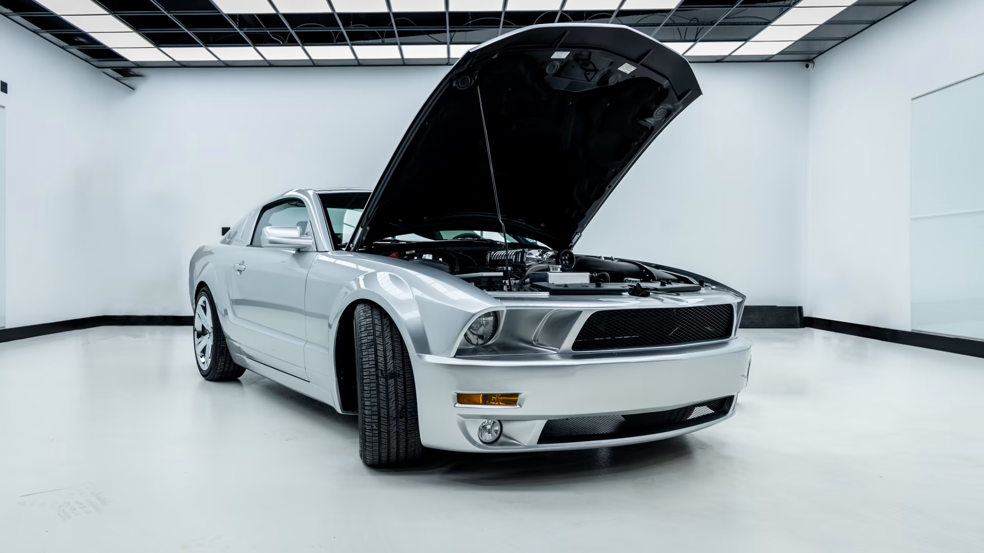 2009 Ford Mustang Iacocca Silver 45th Anniversary Edition #33, photo 16
