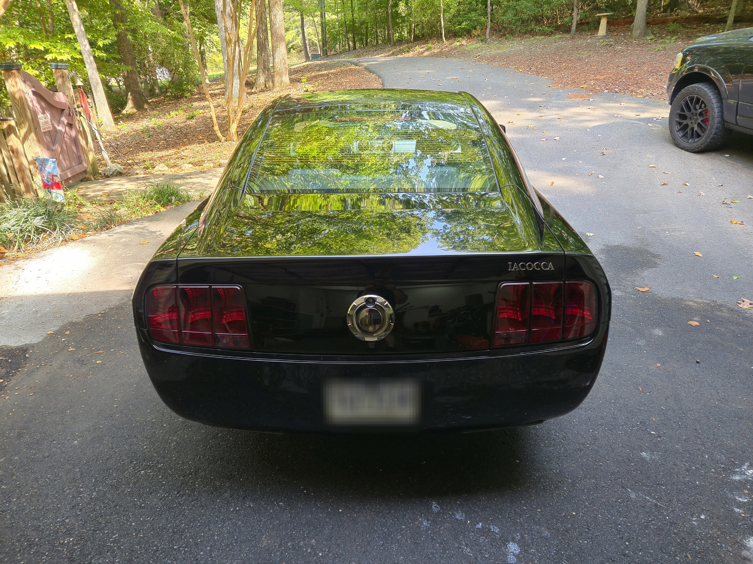 2009 Ford Mustang Iacocca Silver 45th Anniversary Edition #42, photo 1