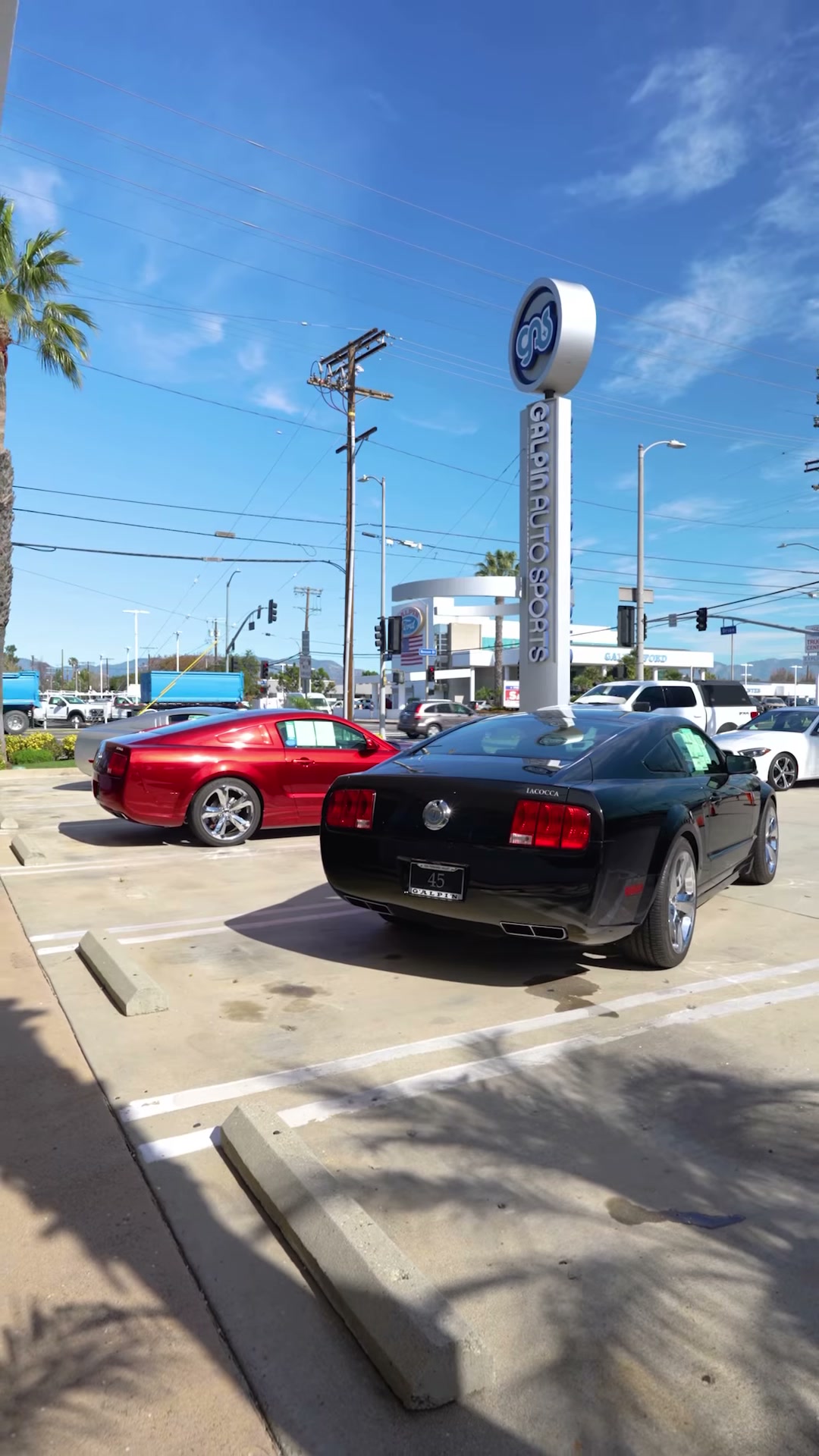 2009 Ford Mustang Iacocca Silver 45th Anniversary Edition #44, photo 3