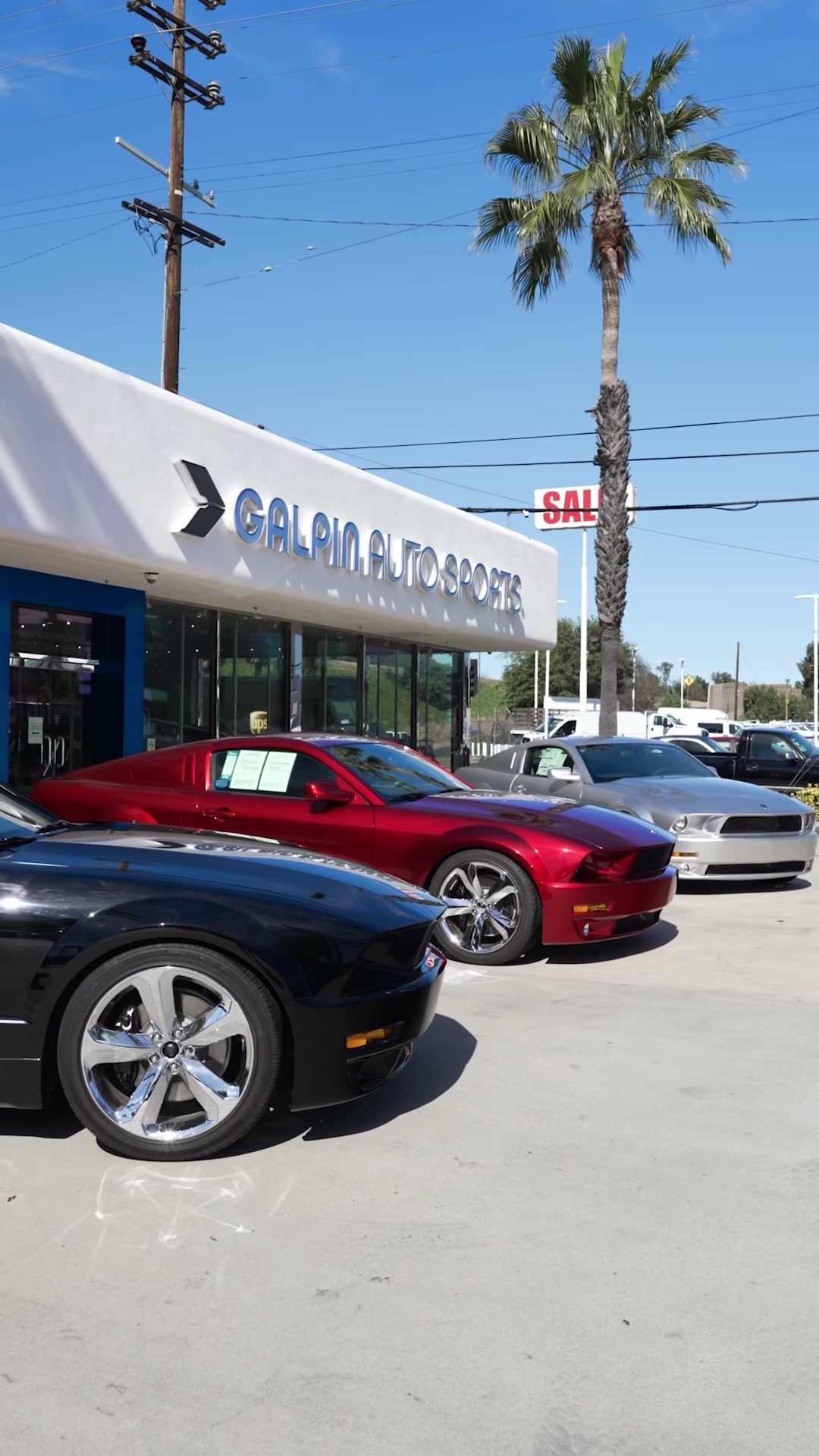 2009 Ford Mustang Iacocca Silver 45th Anniversary Edition #44, photo 4